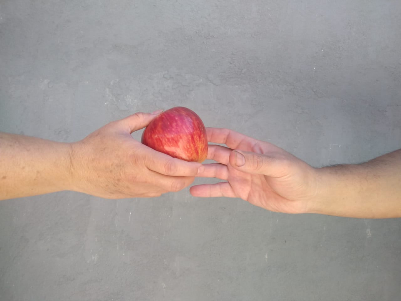 foto artistica