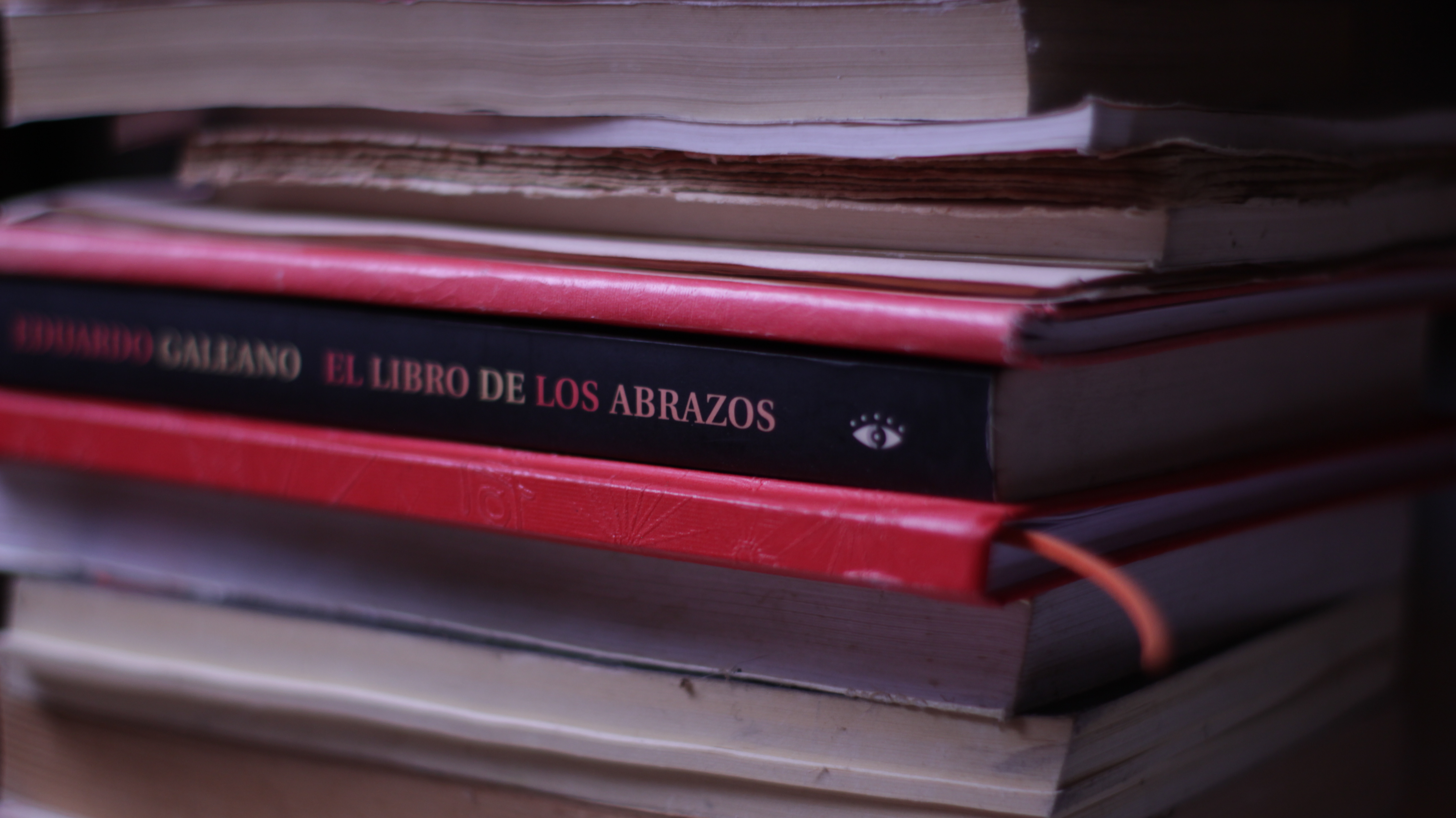 foto artistica