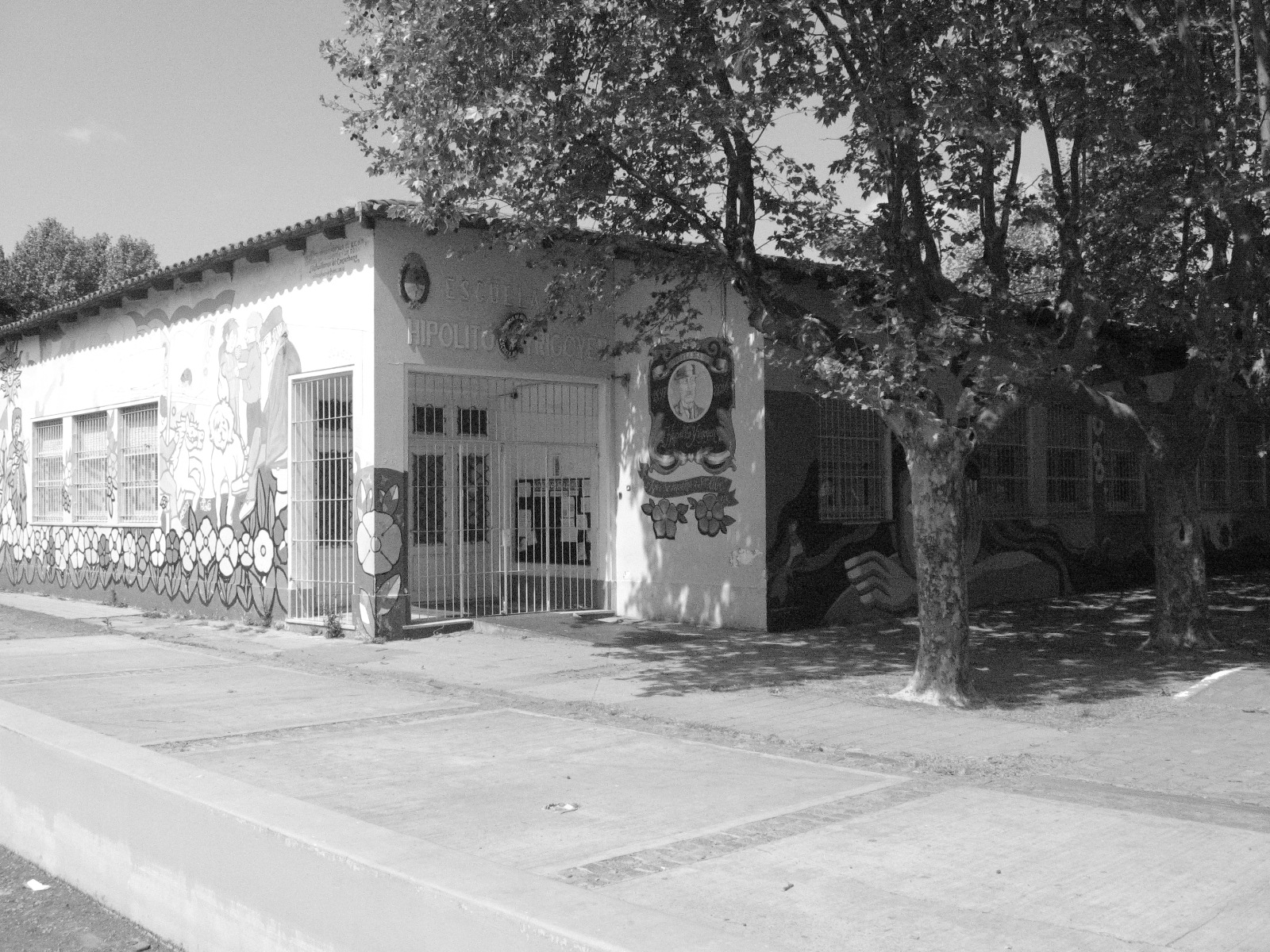 foto artistica