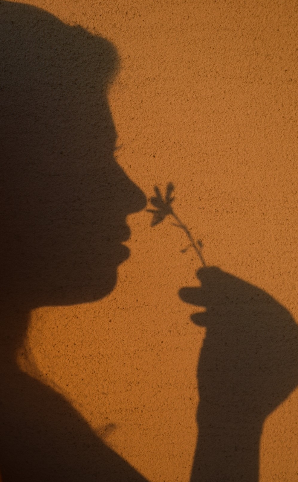 foto artistica